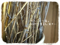 concept'1*集う