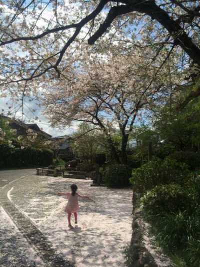 雨かよ・・・