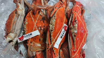 岬ガザミ