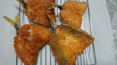 釣り女子