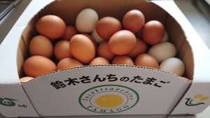 煮卵作ろうかな～