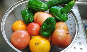 新鮮食材で・・・