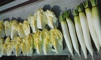 白菜の漬け物