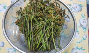 頂き物～＾＾