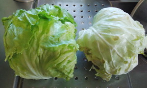 朝から頂き物＾＾