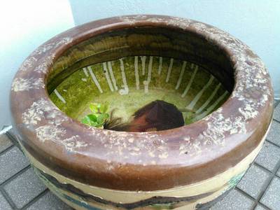 犯人は・・・