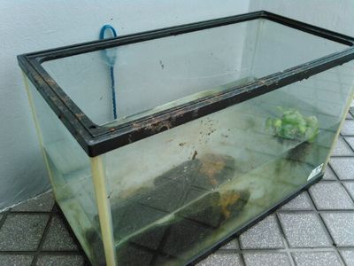 犯人は・・・