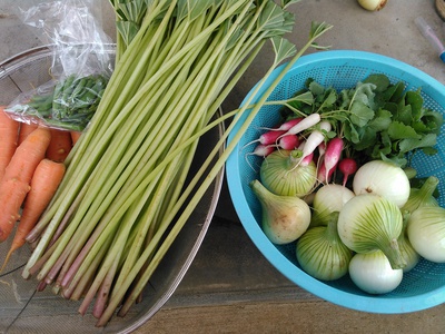 旬の野菜