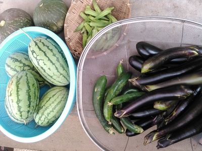 野菜販売