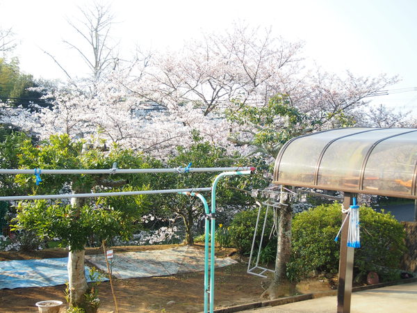 一等地に
