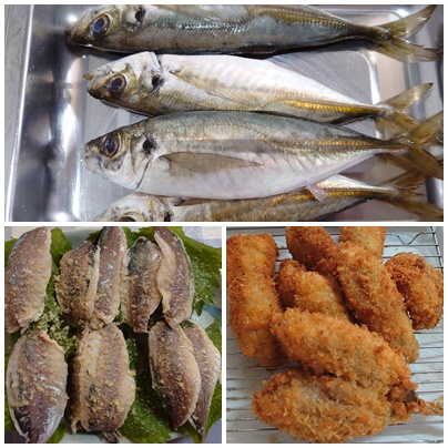 釣りに行った～～
