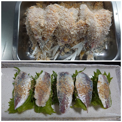 尺アジを求めて５