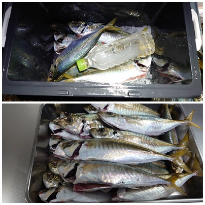 爆釣
