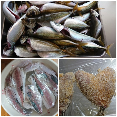 久しぶりの釣り～