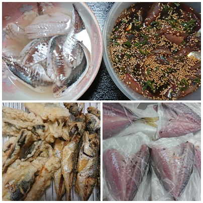 釣り行った～～