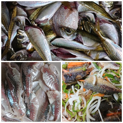 釣り行った～