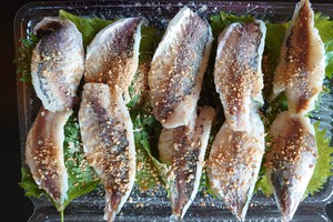 鰺すし