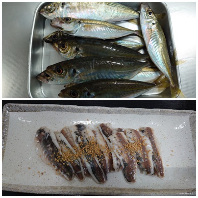 昨日の続き