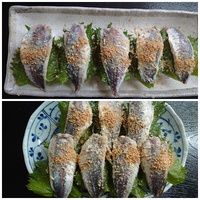 予定通り