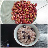 ご飯