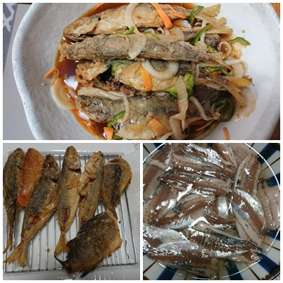 大漁(*0*;)☆ 大漁(*0*;)☆