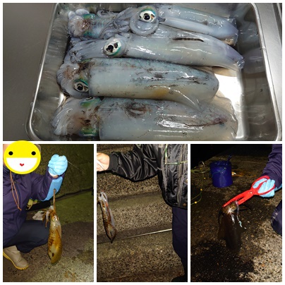 釣れた～＾＾