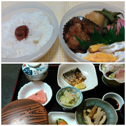 申し訳ないようなΣ(|||▽||| )