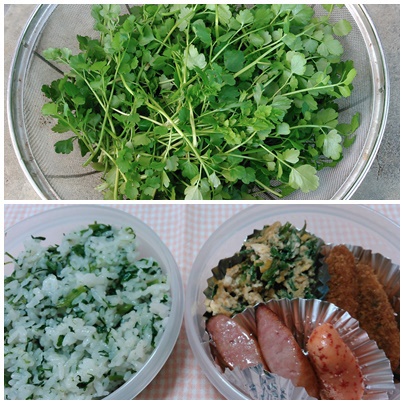 タダ食材活用