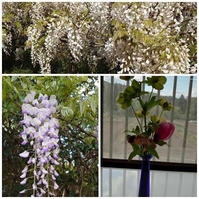 花盛り