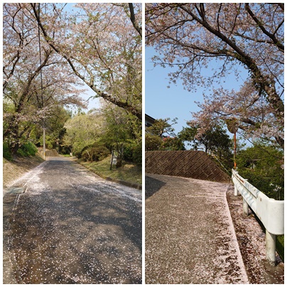 おはようございます