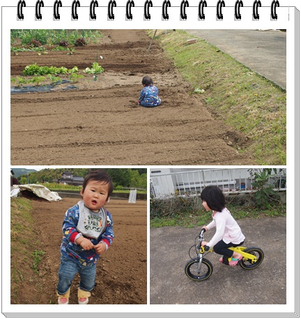 楽しみ＾＾