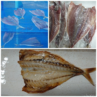 釣ったアジは