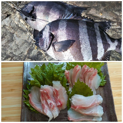 イシダイ