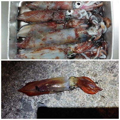 釣りに
