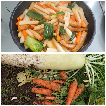 野菜が美味しい