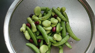 三種類の豆