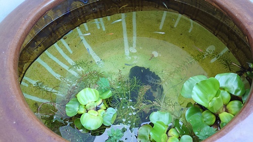 気持ちよさそう＾＾