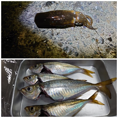 釣り