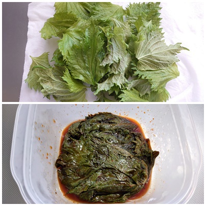 大葉