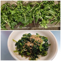 漬け物