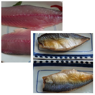 昨日の釣果は