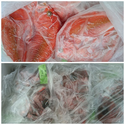 新鮮な魚～＾＾