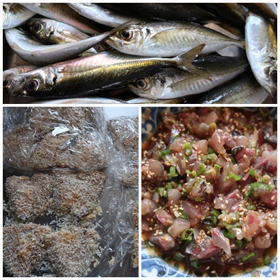 釣り行った～