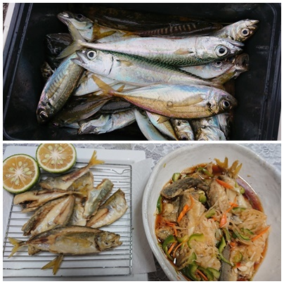 魚釣り