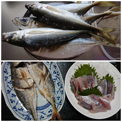 アジ