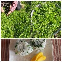 春を食らう