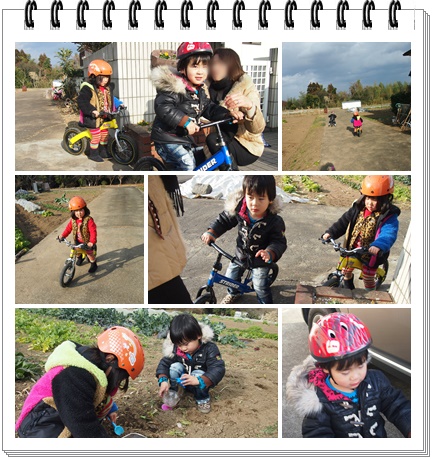 孫たち