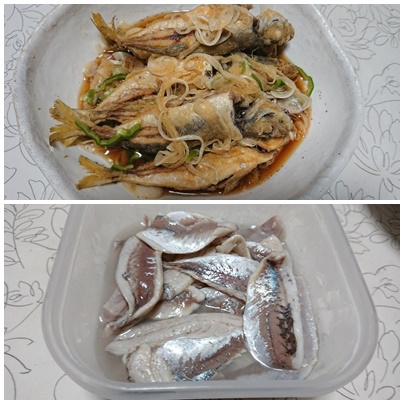 ゼンゴ釣り