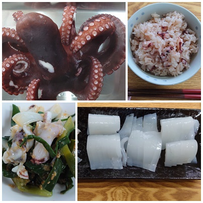 おまけが付いて来た