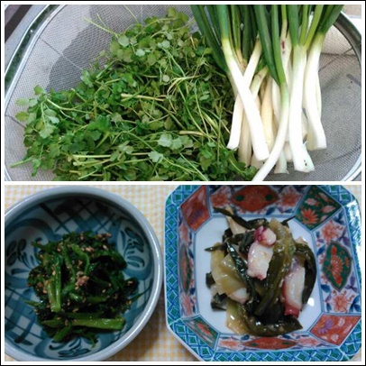 春を食らう